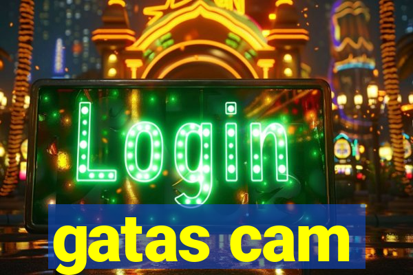 gatas cam